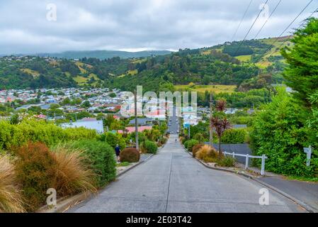 Baldwin Street - die steilste Straße der Welt, in Dunedin, Neuseeland Stockfoto