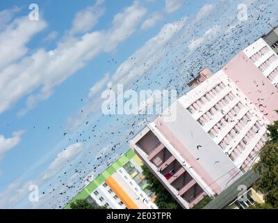 Die Architektur Objekte und Vögel. Konstruktivistischer Stil. Stockfoto