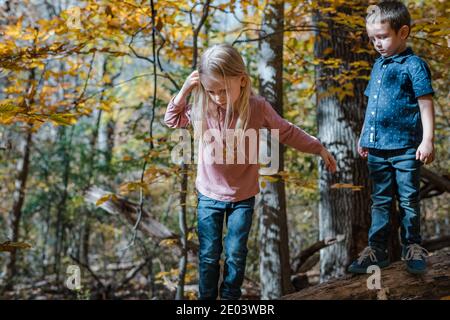 Bruder und Schwester spielen Abenteuer im Wald Stockfoto