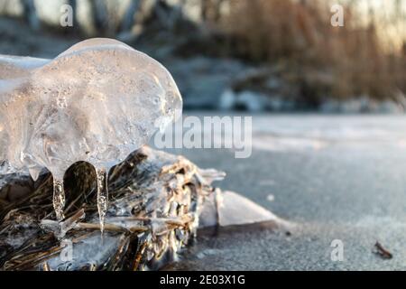 Transparente, leuchtende Eiszapfen aus der Nähe glitzern an gefrorenen wilden Seeufern bei Sonnenuntergang. Kalter Winter Natur Hintergrund Stockfoto