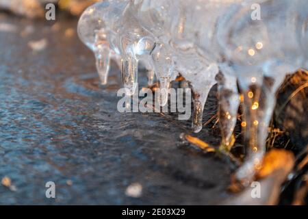 Transparente, leuchtende Eiszapfen aus der Nähe glitzern an gefrorenen wilden Seeufern bei Sonnenuntergang. Kalter Winter Natur Hintergrund Stockfoto