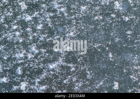 Blaues Eis bedeckt mit hellweißem Schnee natürlichen Textur Hintergrund. Winter auf wildem See Stockfoto