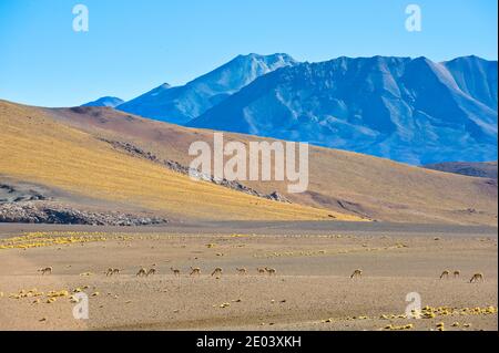 Blick auf die Berge über der Atacama Wüste Stockfoto