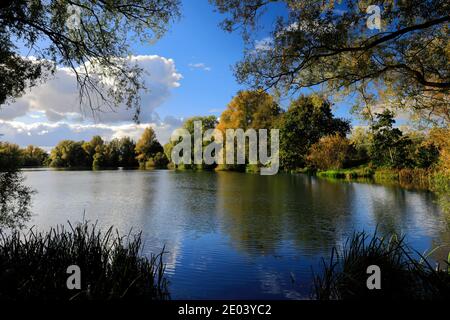 Herbst Farben über den See in Barnwell Country Park, Oundle, Northamptonshire, England, Großbritannien Stockfoto