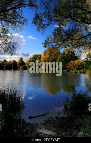 Herbst Farben über den See in Barnwell Country Park, Oundle, Northamptonshire, England, Großbritannien Stockfoto