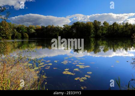 Herbst Farben über den See in Barnwell Country Park, Oundle, Northamptonshire, England, Großbritannien Stockfoto