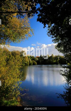 Herbst Farben über den See in Barnwell Country Park, Oundle, Northamptonshire, England, Großbritannien Stockfoto