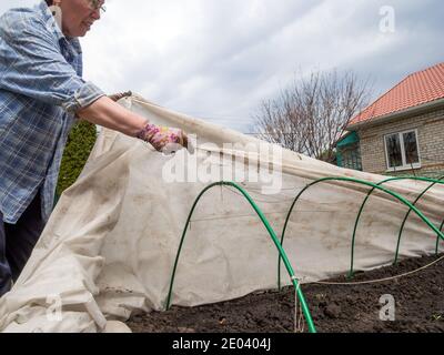 Russland, Woronesch - 01. Mai 2020: Deckmaterial wird über Gartenbögen gezogen Stockfoto