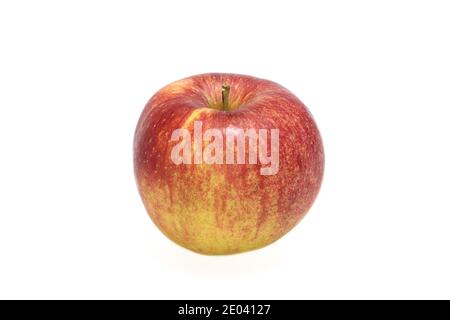 Ganze Single Jonagold Apfel auf weißem Hintergrund Stockfoto