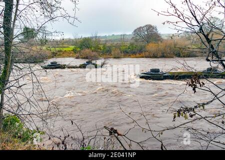 Reste der alten Eisenbahnbrücke Brücke über den Fluss Tyne Hexham northumberland Stockfoto