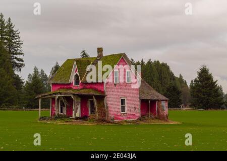 Ein verlassenes rosafarbenes Haus in einem grünen Feld am bewölkten Herbsttag. Stockfoto