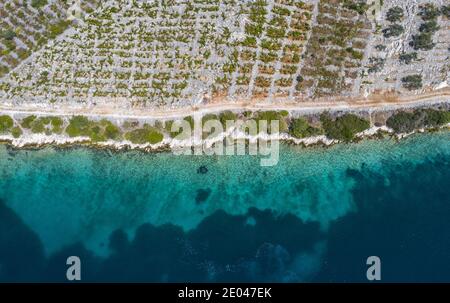 Weinberge am Meer in Dalmatien von oben Stockfoto