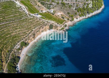 Strand mit Weinberg in Insel Brac Stockfoto