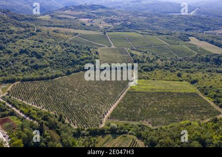 Weinberge in Istrien, Blick von der Altstadt von Motovun Stockfoto