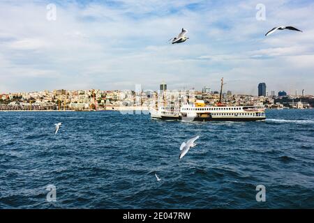Tolle Aussicht auf Istanbul Stadt vom Meer, Bosporus Meerenge, Türkei. Fliegende Möwen unter dem Wasser. Stockfoto