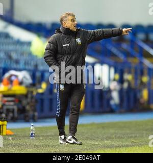 Sheffield, Großbritannien. Dezember 2020. Sheffield Mittwoch Hausmeister Manager Neil Thompson während der Sky Bet Championship Spiel in Hillsborough, Sheffield Bild von Matt Wilkinson/Focus Images/Sipa USA 29/12/2020 Kredit: SIPA USA/Alamy Live News Stockfoto