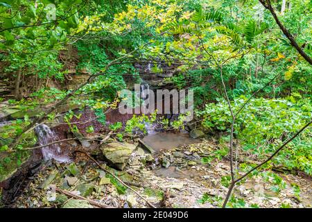 Lower West Cliff Falls Niagara Escarpment Dundas Valley Hamilton Ontario Kanada Stockfoto