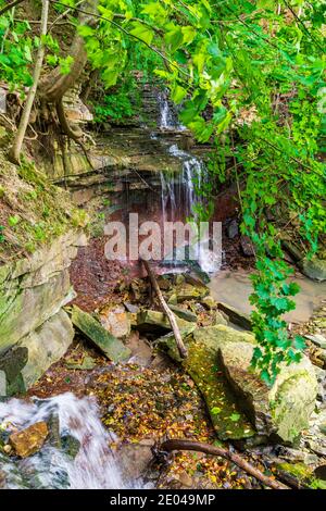 Lower West Cliff Falls Niagara Escarpment Dundas Valley Hamilton Ontario Kanada Stockfoto