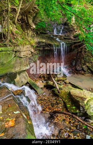 Lower West Cliff Falls Niagara Escarpment Dundas Valley Hamilton Ontario Kanada Stockfoto
