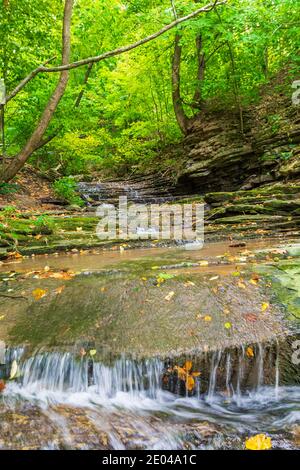 Lower West Cliff Falls Niagara Escarpment Dundas Valley Hamilton Ontario Kanada Stockfoto