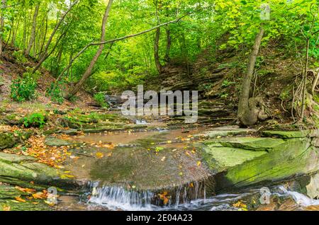 Lower West Cliff Falls Niagara Escarpment Dundas Valley Hamilton Ontario Kanada Stockfoto