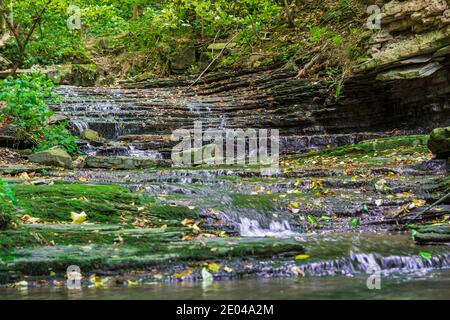 Lower West Cliff Falls Niagara Escarpment Dundas Valley Hamilton Ontario Kanada Stockfoto