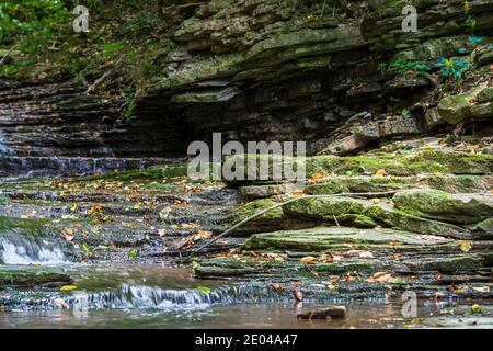Lower West Cliff Falls Niagara Escarpment Dundas Valley Hamilton Ontario Kanada Stockfoto