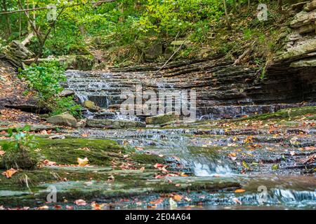 Lower West Cliff Falls Niagara Escarpment Dundas Valley Hamilton Ontario Kanada Stockfoto