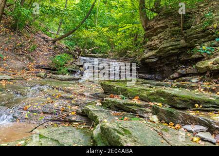 Lower West Cliff Falls Niagara Escarpment Dundas Valley Hamilton Ontario Kanada Stockfoto