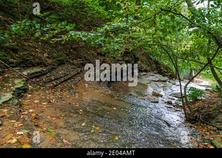 Lower West Cliff Falls Niagara Escarpment Dundas Valley Hamilton Ontario Kanada Stockfoto