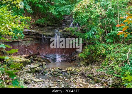 Lower West Cliff Falls Niagara Escarpment Dundas Valley Hamilton Ontario Kanada Stockfoto
