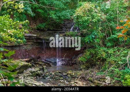 Lower West Cliff Falls Niagara Escarpment Dundas Valley Hamilton Ontario Kanada Stockfoto