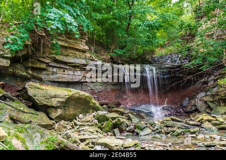 Lower West Cliff Falls Niagara Escarpment Dundas Valley Hamilton Ontario Kanada Stockfoto