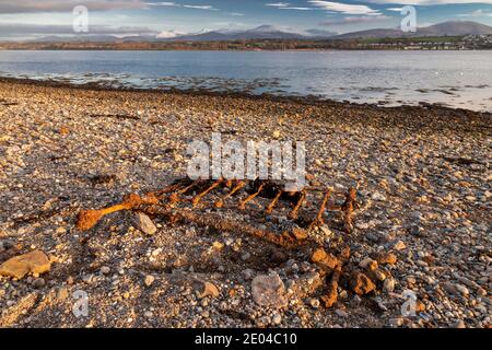 Menai Straits Küstenlinie im Winter, Anglesey, Nordwales Stockfoto
