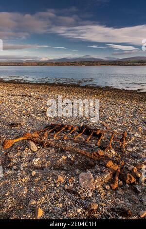 Menai Straits Küstenlinie im Winter, Anglesey, Nordwales Stockfoto