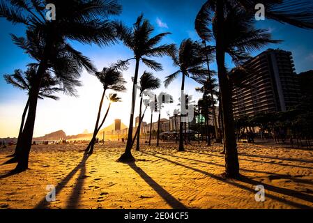 Palmen bei Sonnenuntergang in Copacabana Beach, Rio de Janeiro, Brasilien Stockfoto