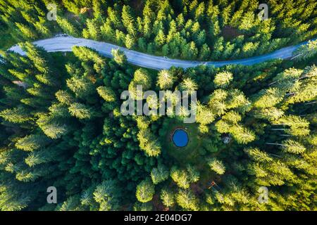 Luftaufnahme über Bergstraße durch Kiefernwald mit kleinem See. Pokljuka, Slowenien Stockfoto