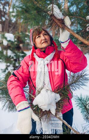 Ältere Frau posiert an Tannenbaum an sonnigen Wintertag Im Wald Stockfoto
