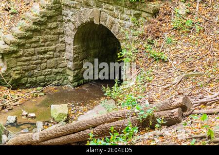 Tiffany Falls Conservation Area Dundas Valley Ancaster Ontario Kanada Stockfoto