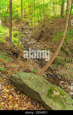 Tiffany Falls Conservation Area Dundas Valley Ancaster Ontario Kanada Stockfoto