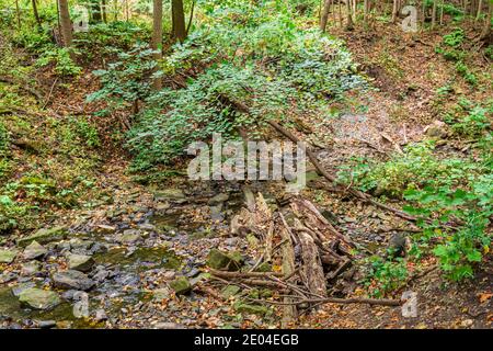 Tiffany Falls Conservation Area Dundas Valley Ancaster Ontario Kanada Stockfoto