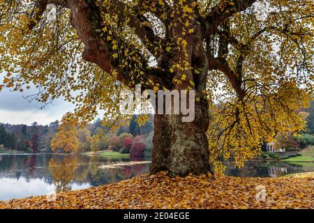 Seeszene im Herbst bei Stourhead in Wiltshire, England. Stockfoto
