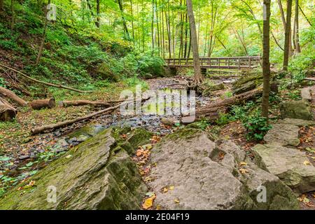 Tiffany Falls Conservation Area Dundas Valley Ancaster Ontario Kanada Stockfoto