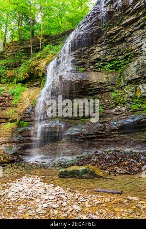 Tiffany Falls Conservation Area Dundas Valley Ancaster Ontario Kanada Stockfoto