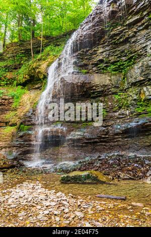 Tiffany Falls Conservation Area Dundas Valley Ancaster Ontario Kanada Stockfoto