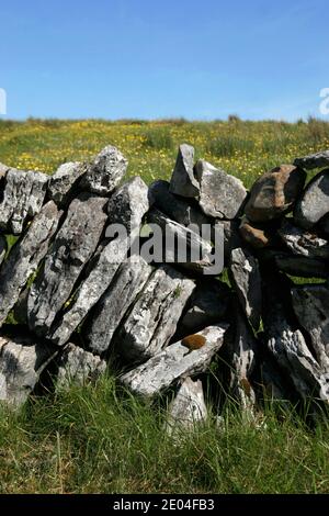 Abschnitt der Trockensteinmauer in der Kalksteinwildnis des Burren, Grafschaft Clare, Westküste Irlands. Stockfoto