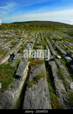 Kalkstein Grikes und clints der Burren, Co. Clare, Irland - Gehwege mit Kreuz und quer Risse Stockfoto