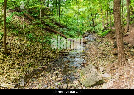 Tiffany Falls Conservation Area Dundas Valley Ancaster Ontario Kanada Stockfoto
