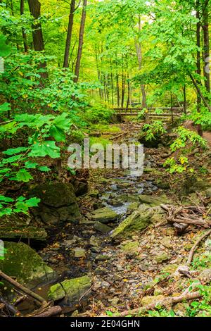 Tiffany Falls Conservation Area Dundas Valley Ancaster Ontario Kanada Stockfoto