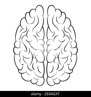 Hirnzeichen-Symbol Gyrus, Vektor rechts und links Gehirn, Konzept der Geist-Informationen und Wissen Stock Vektor